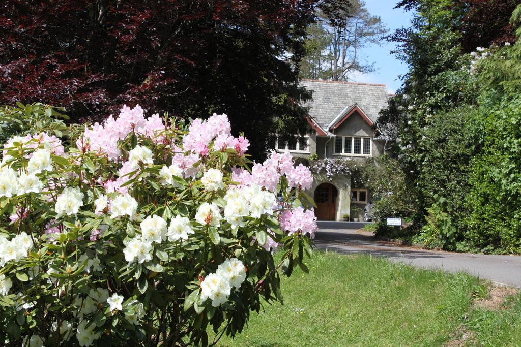 Knapp House Lodges East Anstey Exterior foto